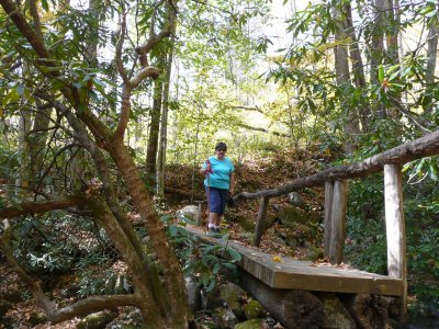 Crossing the first of four foot bridges