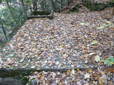 9' x 11' concrete platform with a cistern. This was part of a fish hatchery used to restock the streams in the Smokies