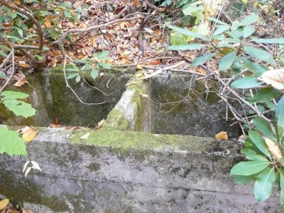 Concrete tank used by the hatchery