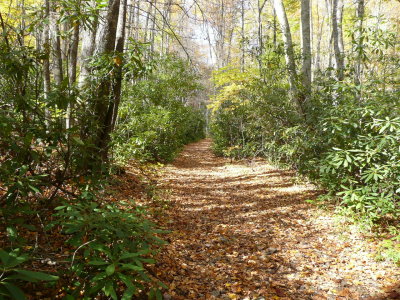 The trail goes on...