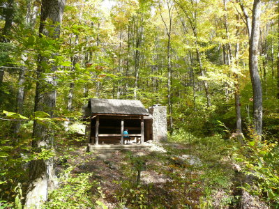 A Walk in the Woods