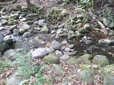 The small stream when we arrived at camp...