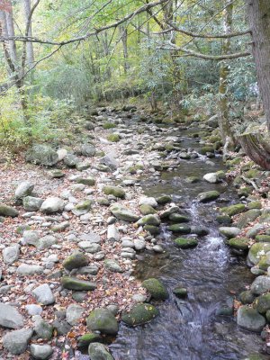 The large stream when we arrived at camp...