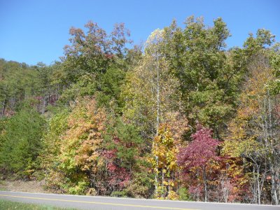 Foot Hills Parkway, Cosby TN - not much color change since we arrived