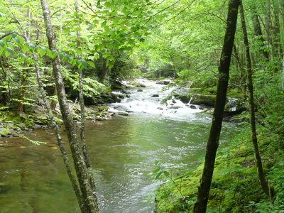 Little River