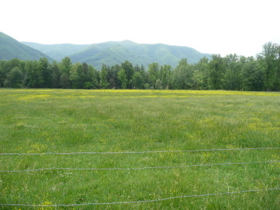 Cades Cove