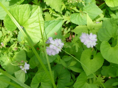 P1100440.JPG