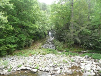 Waterfall on Little River Rd.