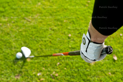 golf 3804.jpg