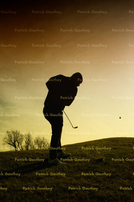 golf 3993.jpg
