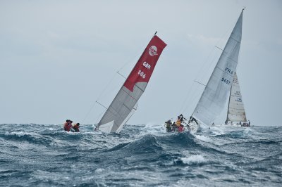 primocup Monte carlo.jpg