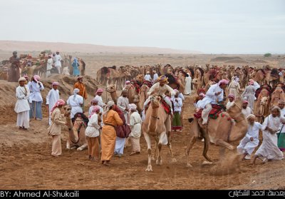 Bediah Camel Show (Ardah)  