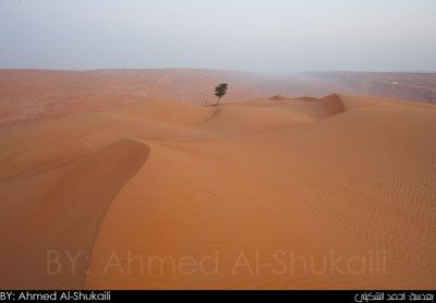 Sharqiah Sands