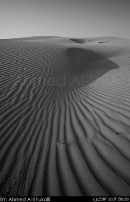 Lines of Sand