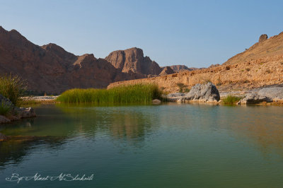 Wadi Al-Arabieen