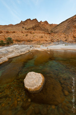 Wadi Al-Arabieen