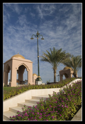 Muscat0004.jpg