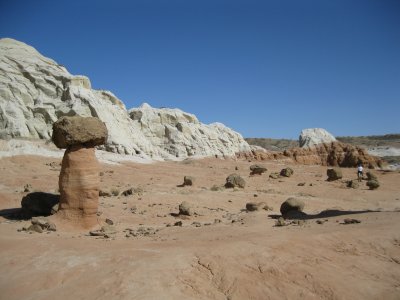 IMG_4117.JPG