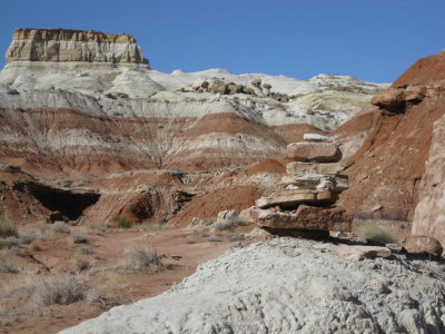 Paria River Rimrock Toadstools