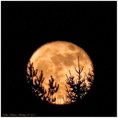20/3 Third night of the Perigee moon