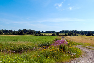 9/8 Summer in Southern Ostrobothnia rushing by