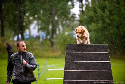 10/8 Agility in not so great weather today