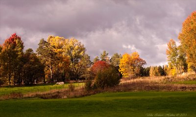 Nice weather, no golfers at the course!