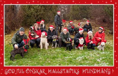 Happy Holidays! Wishes all Sundays Doggie Walkers!