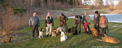 Groupshot from Doggie-meetup January 6