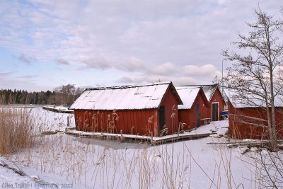 24/1 Winterday in Hensvik