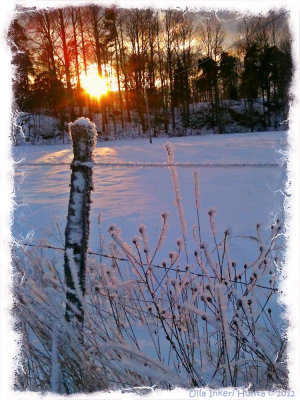 31/1 Frosty sunset today.