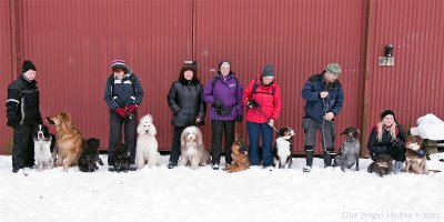 Groupshot from Doggie-meetup February 11, 2012