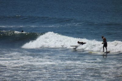 Saunton surf July 2012 pic 19.jpg