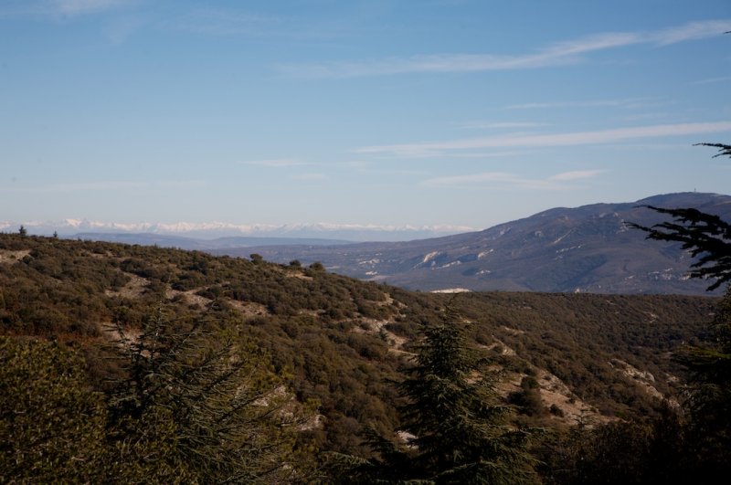 Les Alpes depuis le Petit Luberon