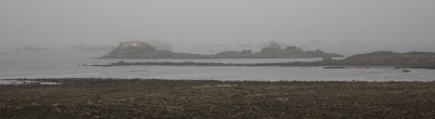 Chausse de Sein dans la brume