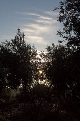 g4/98/810498/3/91393500.N2kCQtGC.jpg