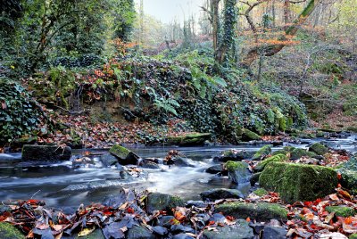 beamish burn