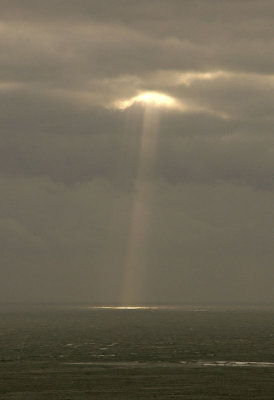 sun spotlight