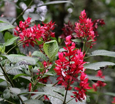 IMG_9769.jpg