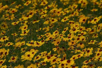 IMG_9472.jpg