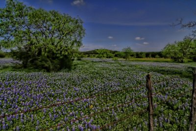 IMG_9625 copy.jpg