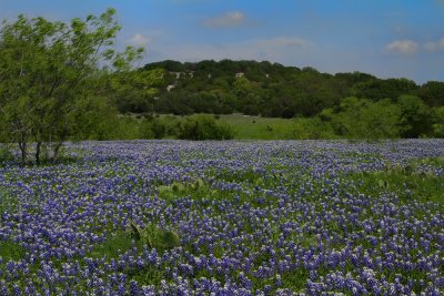 IMG_9641 copy.jpg