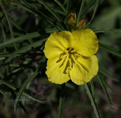 IMG_9759.jpg