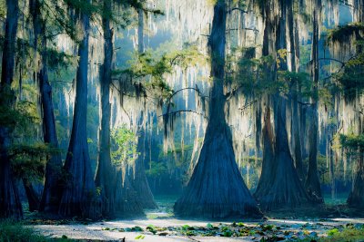 Caddo Mill Pond