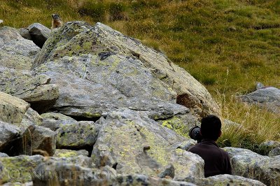 nature_photographers