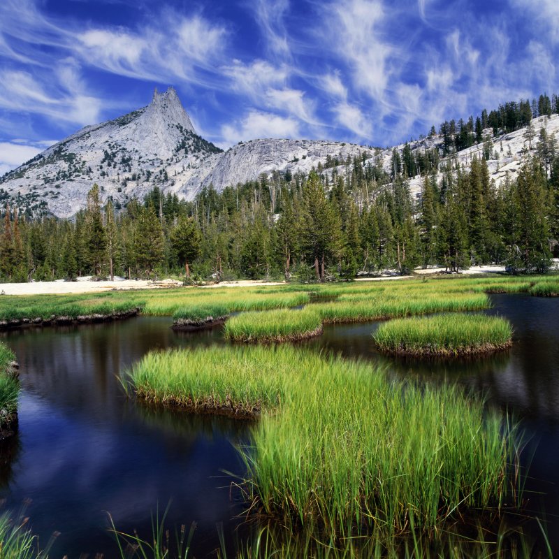 cathedral water circles