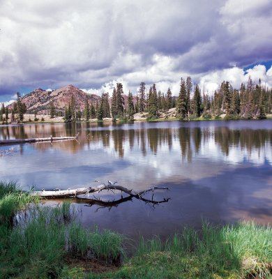 haystack lake trail2.jpg