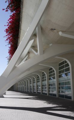 Ciudad de las Artes y las Ciencias