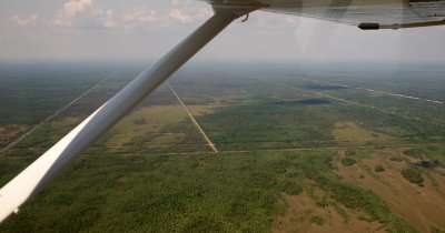 g4/98/850098/3/134186747.SYFvf0Fx.jpg