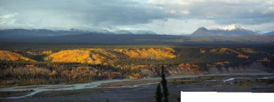 g4/98/850098/3/140216152.uVbJPYnH.jpg